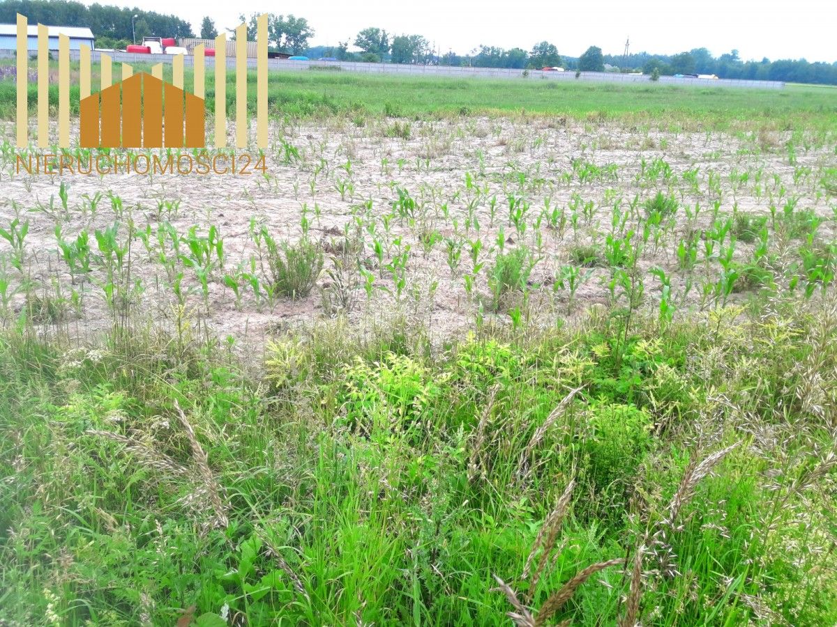 Działka rolna Cegłów. Zdjęcie 8