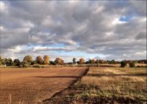 Działka rolna Juchowo. Zdjęcie 2