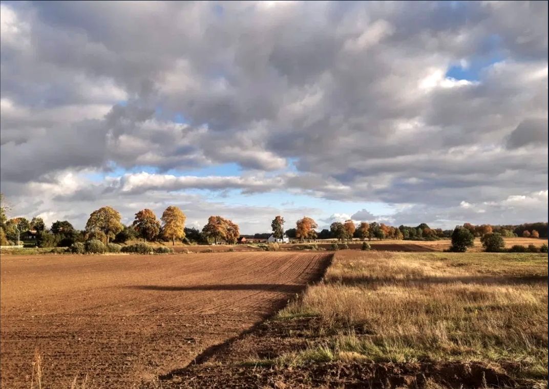 Działka rolna Juchowo. Zdjęcie 3