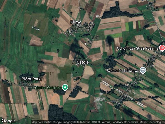 Działka leśna Ostoje. Zdjęcie 1