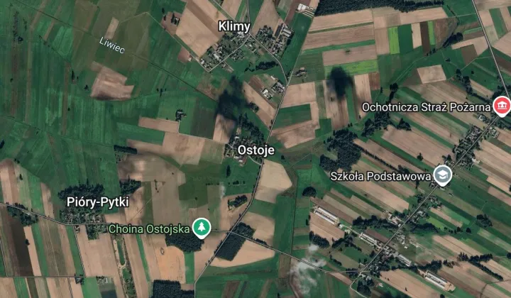 Działka leśna Ostoje