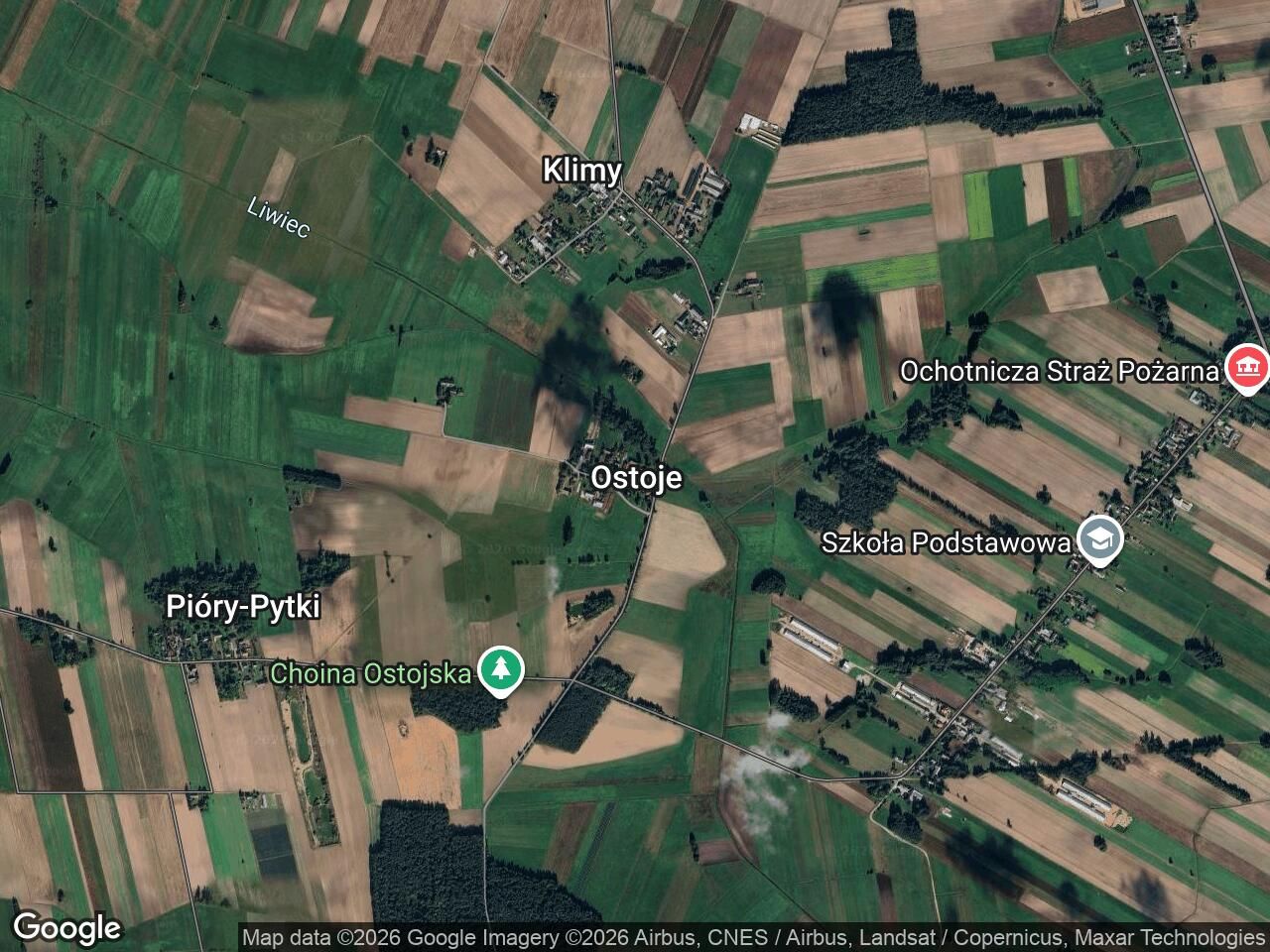 Działka leśna Ostoje. Zdjęcie 1