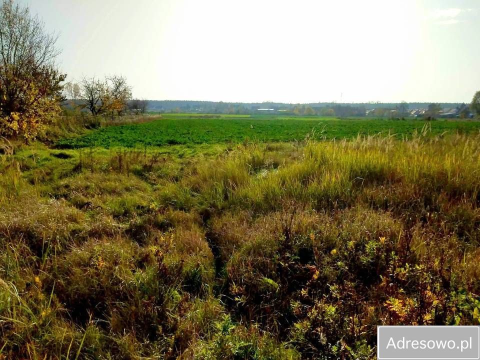 Działka siedliskowa Boleszkowice. Zdjęcie 9
