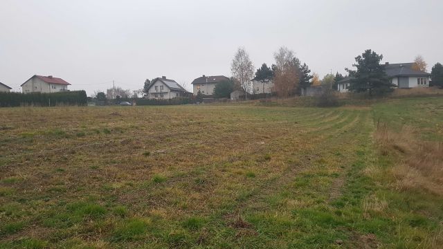 Działka budowlana Żory. Zdjęcie 1