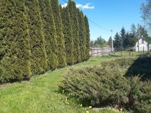 gospodarstwo, 3 pokoje Adampol, ul. Jana Pawła II. Zdjęcie 2