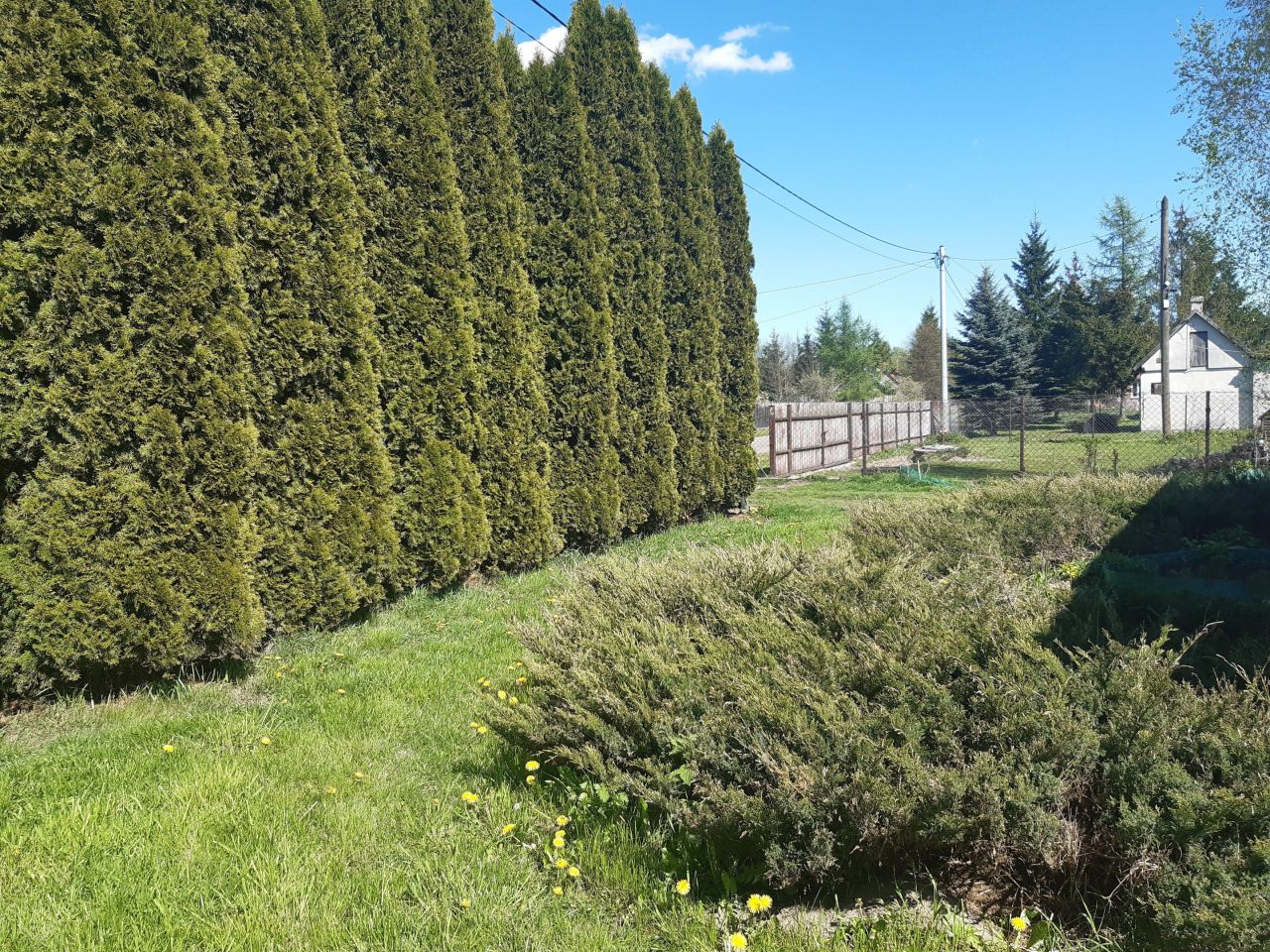 gospodarstwo, 3 pokoje Adampol, ul. Jana Pawła II. Zdjęcie 3