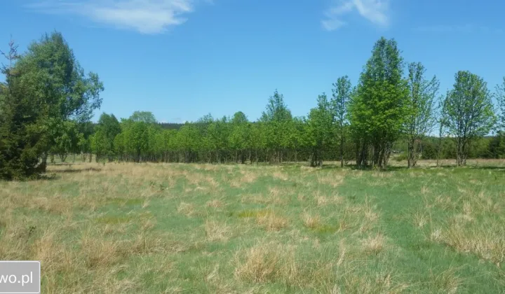 Działka budowlana Lasówka