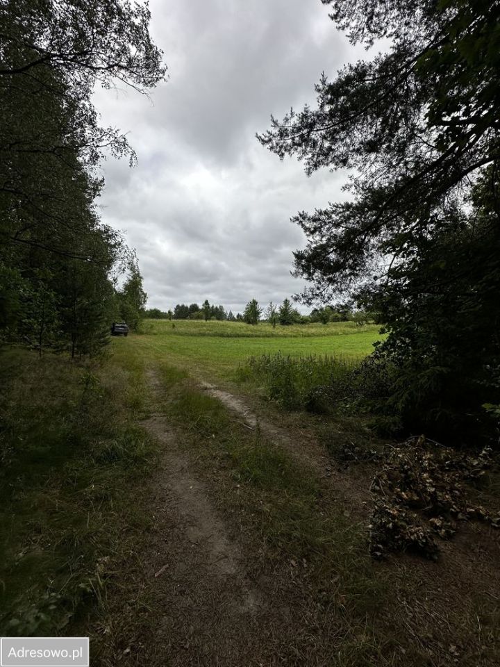 Działka rolna Babięta. Zdjęcie 6