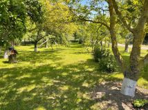 gospodarstwo Morzeszczyn. Zdjęcie 2