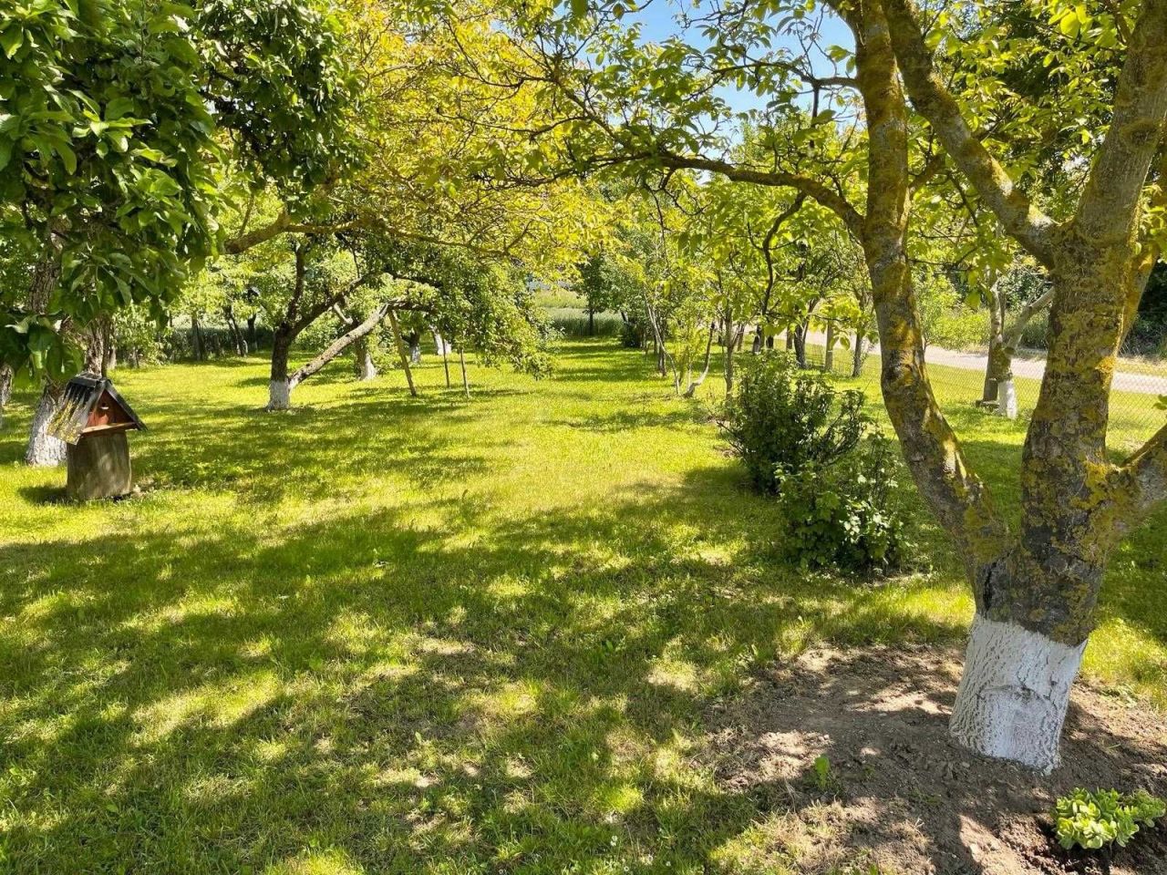 gospodarstwo Morzeszczyn. Zdjęcie 3