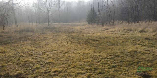 Działka Rybnik Niedobczyce, ul. Bolesława Śmiałego. Zdjęcie 5