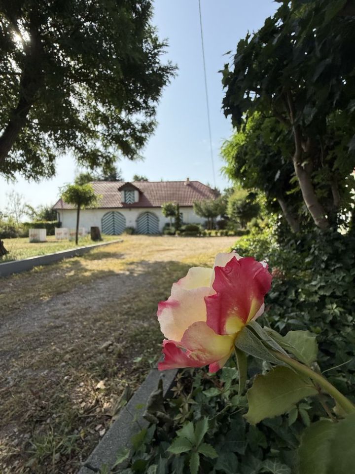 dom wolnostojący Ryczołek. Zdjęcie 4