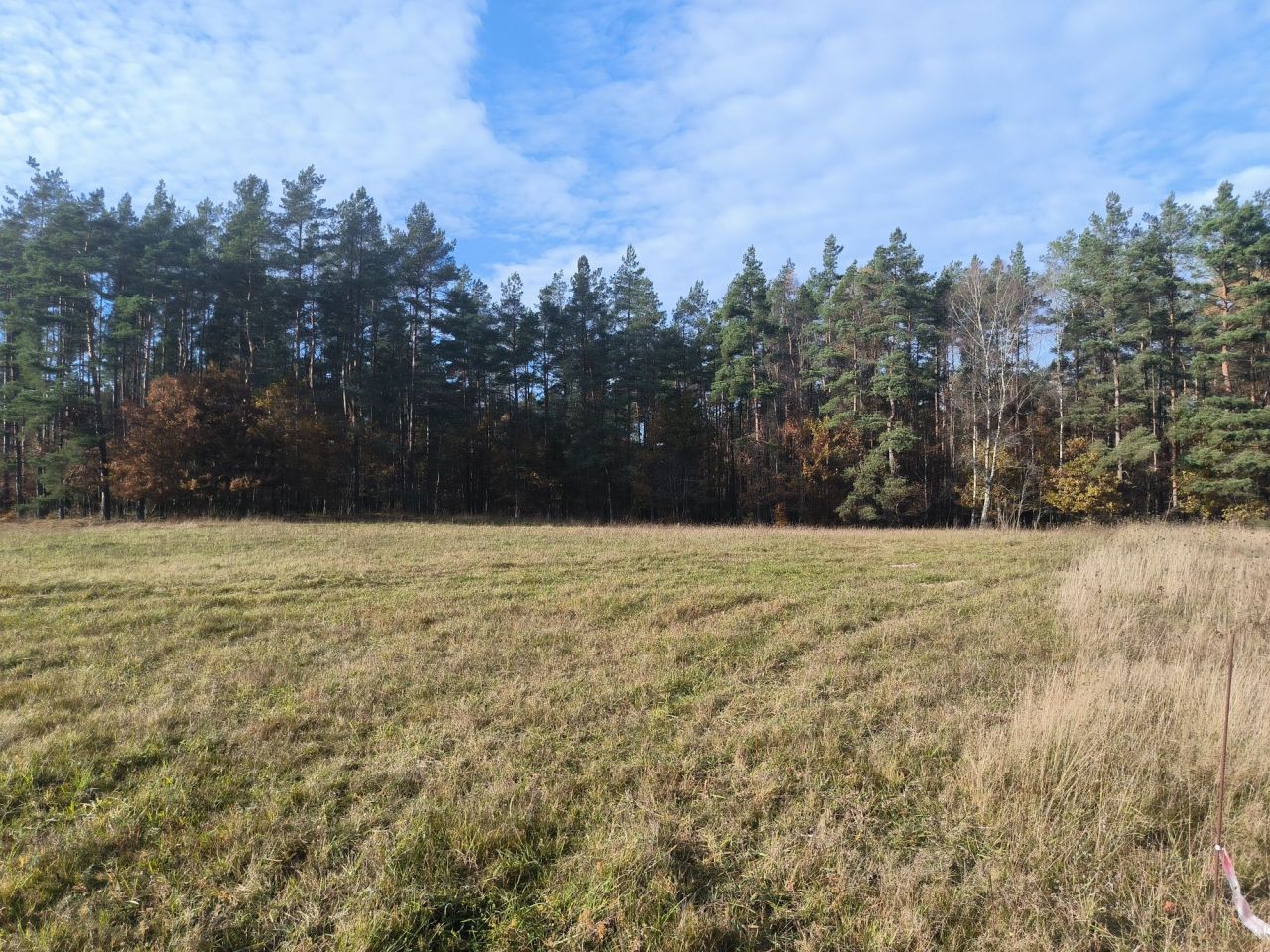 Działka rolno-budowlana Łupawsko. Zdjęcie 8