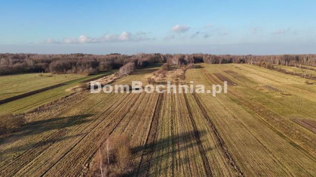 Działka budowlana Jodłówka. Zdjęcie 10