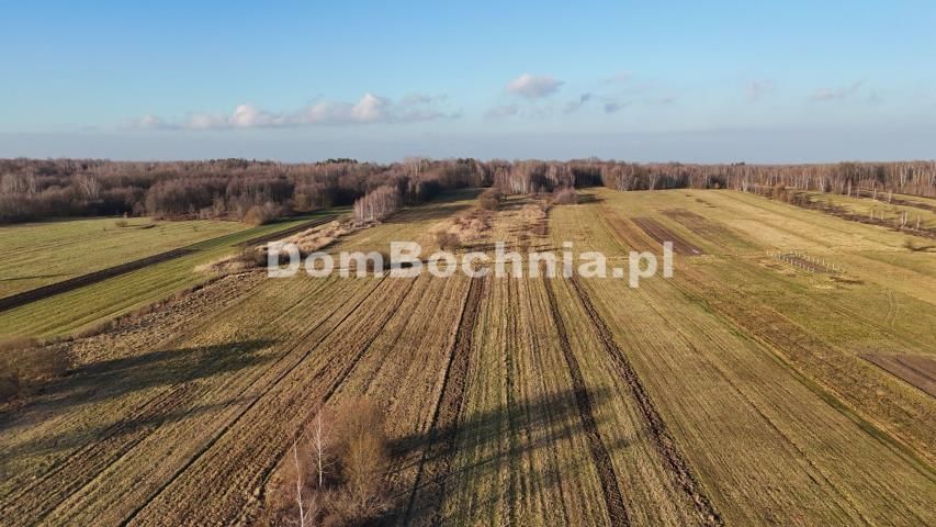 Działka budowlana Jodłówka. Zdjęcie 10