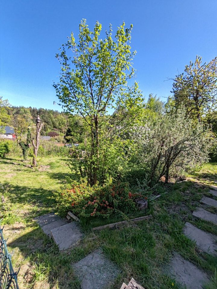 Działka rod Gdańsk Matarnia. Zdjęcie 4