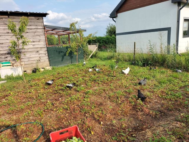 Działka rod Lubiszewo Tczewskie. Zdjęcie 1