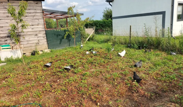 Działka rod Lubiszewo Tczewskie