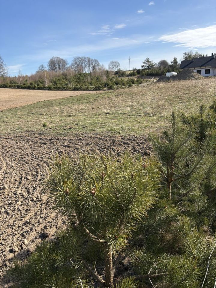 Działka budowlana Grabowiec, ul. Koszarowa. Zdjęcie 3