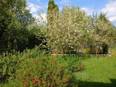 Działka rod Ząbki, ul. Stefana Batorego. Zdjęcie 2