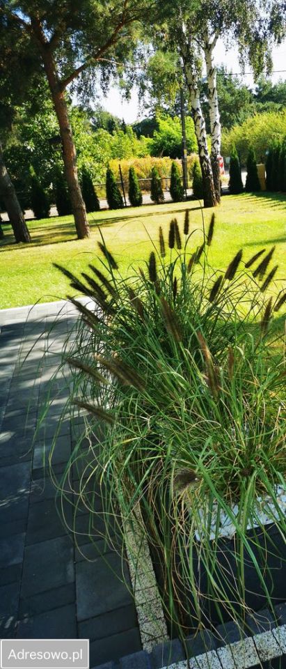 dom wolnostojący, 5 pokoi Leonardów. Zdjęcie 16