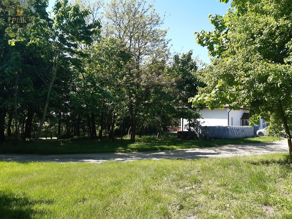 inny, 3 pokoje Luciny. Zdjęcie 10