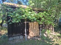 Działka rod Warszawa Wilanów. Zdjęcie 2