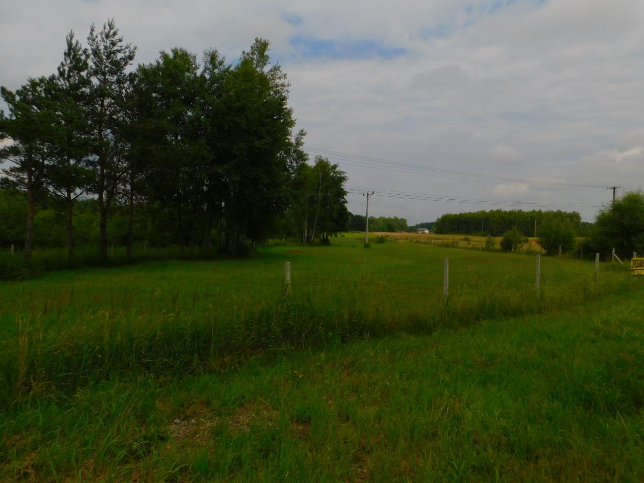 Działka budowlana Nowa Wieś Borek. Zdjęcie 2