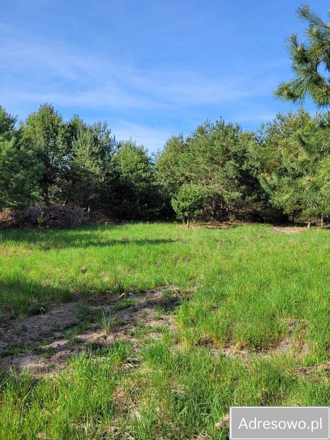 Działka rekreacyjna Mącice. Zdjęcie 7