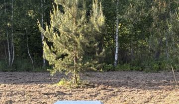 Działka budowlana Błędowo, ul. Sielawy