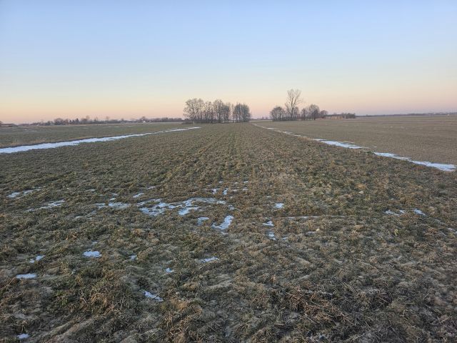 Działka rolna Bukowina. Zdjęcie 1