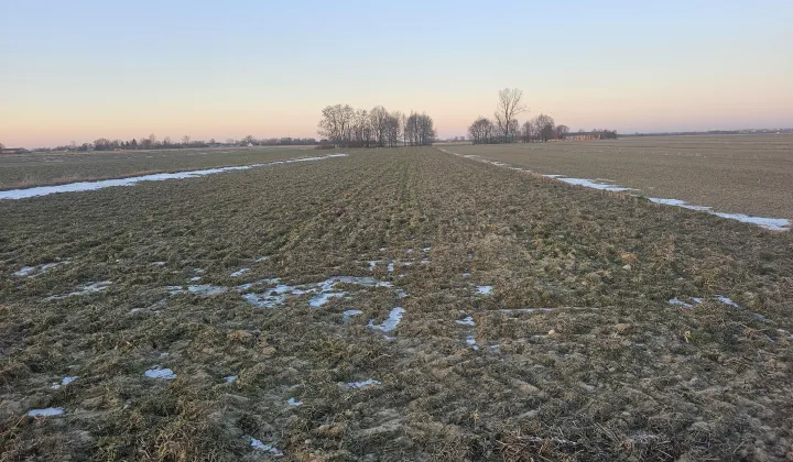 Działka rolna Bukowina