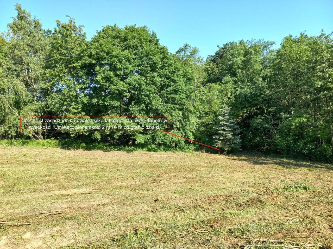 Działka budowlana Żerkowice, ul. Pod Sosną. Zdjęcie 3