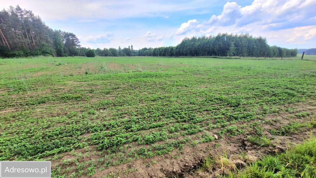 Działka rolno-budowlana Grabowiec. Zdjęcie 3