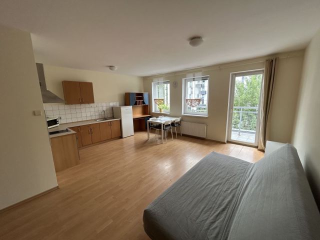 Mieszkanie 1-pokojowe Poznań, ul. Stanisława Szczepanowskiego. Zdjęcie 4