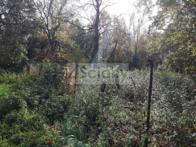 Działka budowlana Warszawa Białołęka. Zdjęcie 6