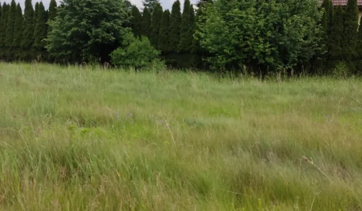 Działka budowlana Koty, ul. Potępska