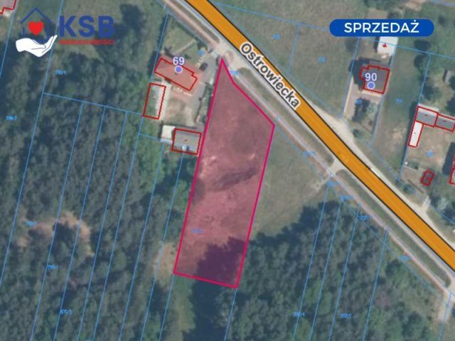 Działka budowlana Kuczów. Zdjęcie 1