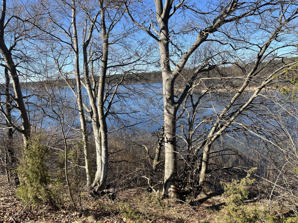 Działka rolna Zabrody. Zdjęcie 3