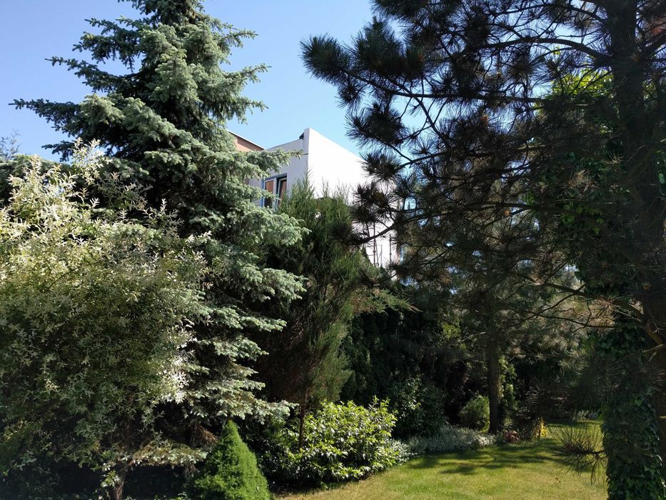 Działka budowlana Poznań Ławica, ul. Barlinecka. Zdjęcie 3