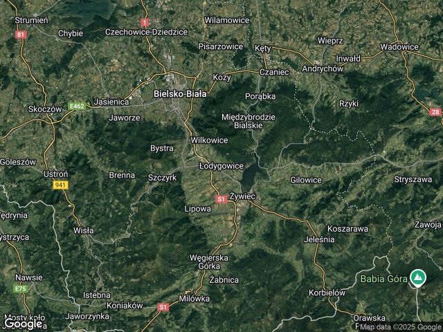 Działka leśna Łodygowice. Zdjęcie 1