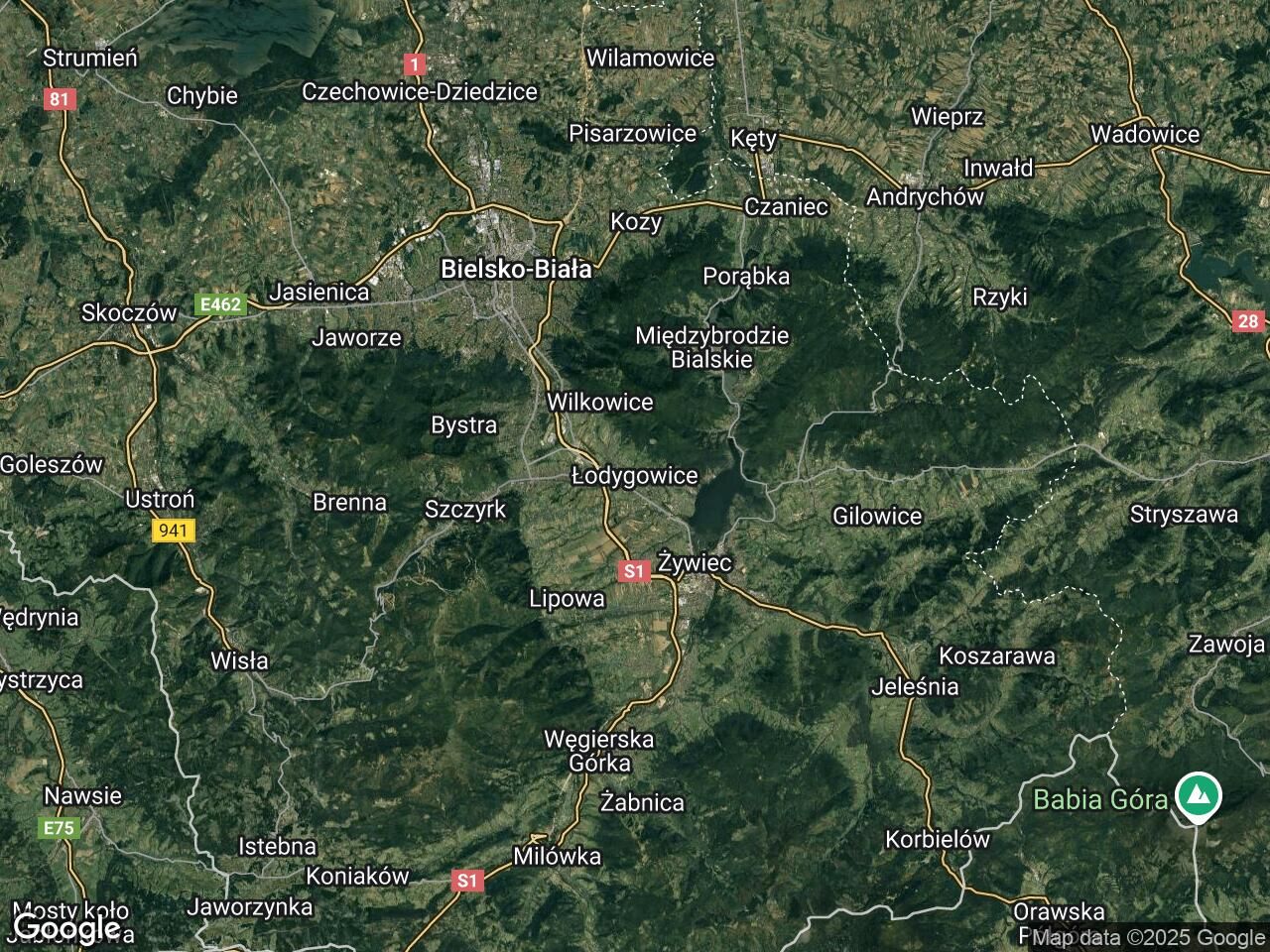 Działka leśna Łodygowice