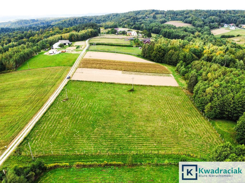 Działka budowlana Huta Gogołowska. Zdjęcie 3