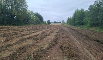 Działka rolna Kocina