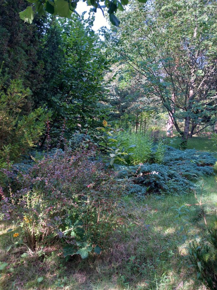 Działka budowlana Żelechów, ul. Malinowa. Zdjęcie 6