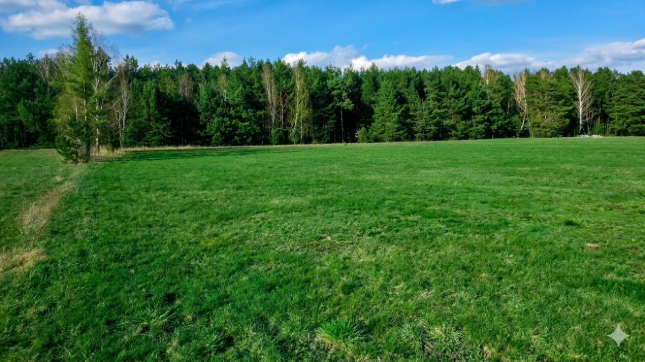 Działka budowlana Jeziorno. Zdjęcie 3