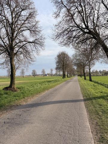 Działka budowlana Zdziechowa. Zdjęcie 3