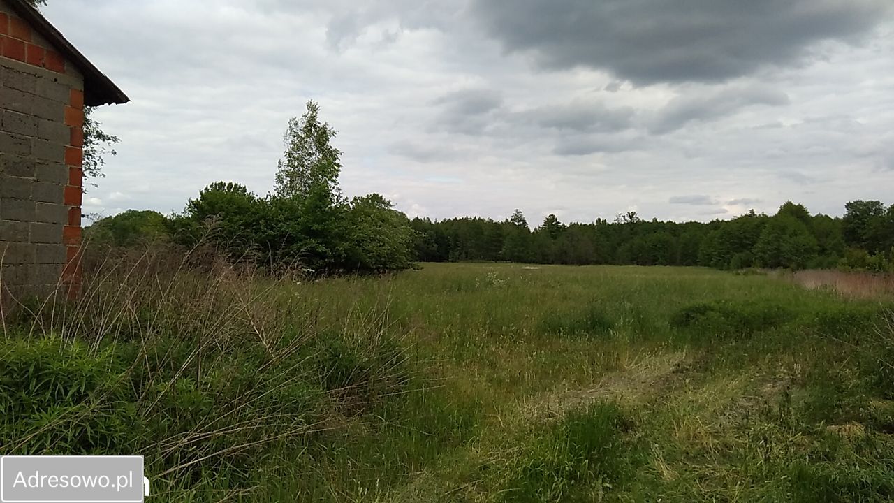 Działka rolno-budowlana Stachlew. Zdjęcie 7