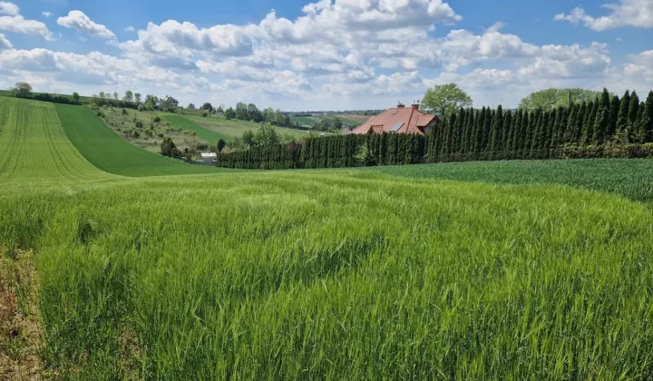 Działka rolno-budowlana Masłomiąca, ul. Długa