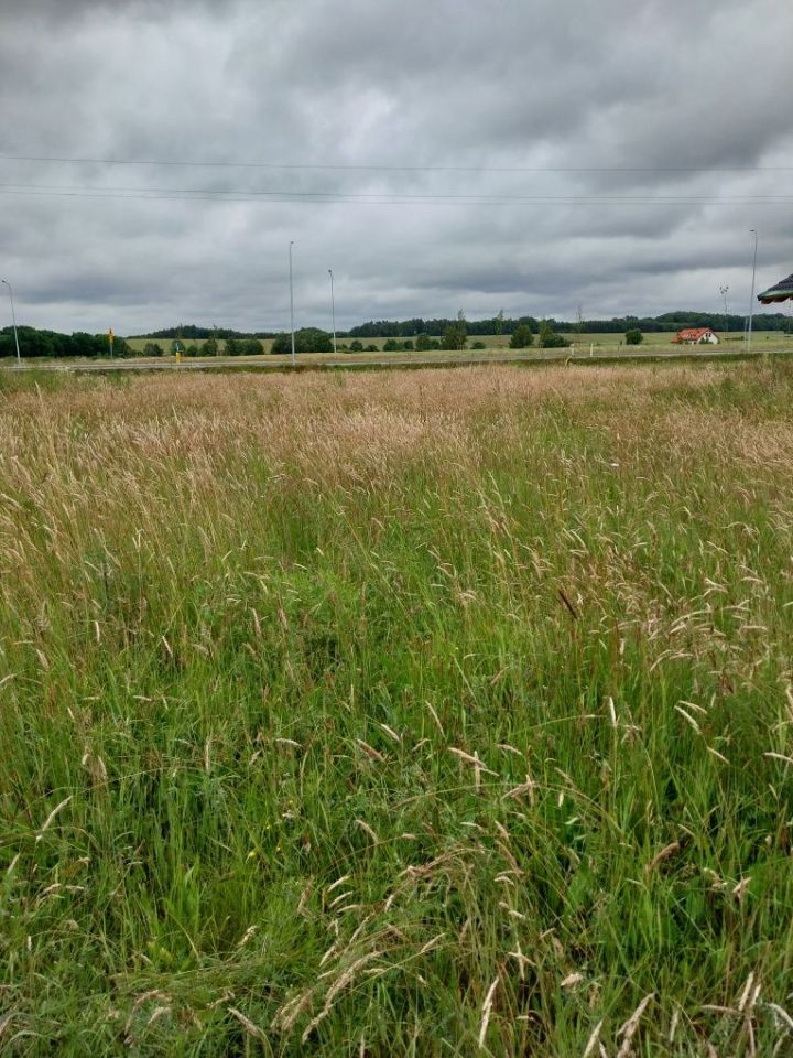 Działka budowlana Bydlino, ul. Orzechowa. Zdjęcie 7